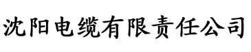 爱秋霞电影网电缆厂logo